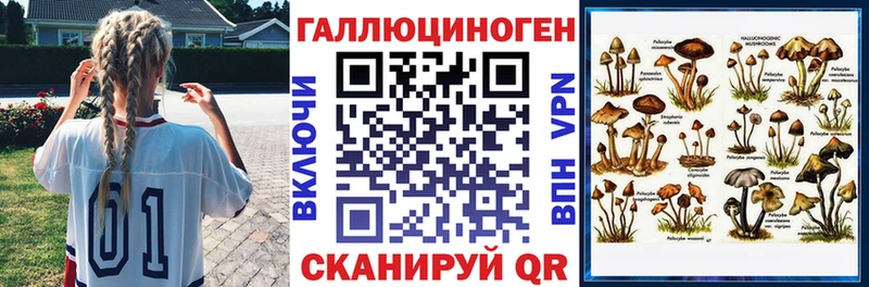 наркошоп  mega вход  Галлюциногенные грибы Cubensis  Северо-Курильск 